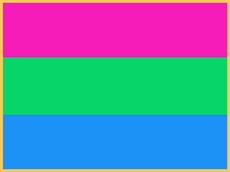 Pin: Polysexual Pride Flag