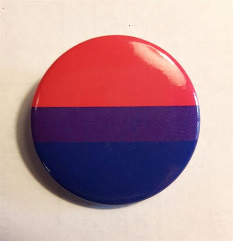 Button 25mm: BI Pride Flag