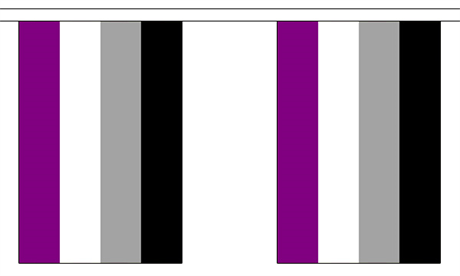 Asexual Pride Bunting Flag
