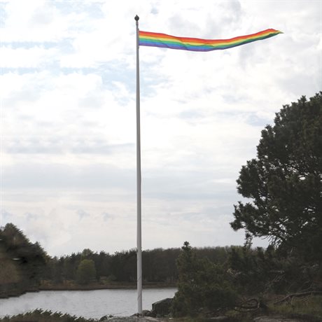 Regnbueflaggvimpel 40 cm x 350 cm