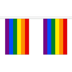 Rainbow Pride Bunting Flag 9 meter