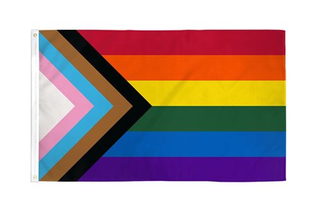 Progress Pride Flagg (60 x 90 cm)